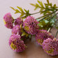 Purple Dalhias
