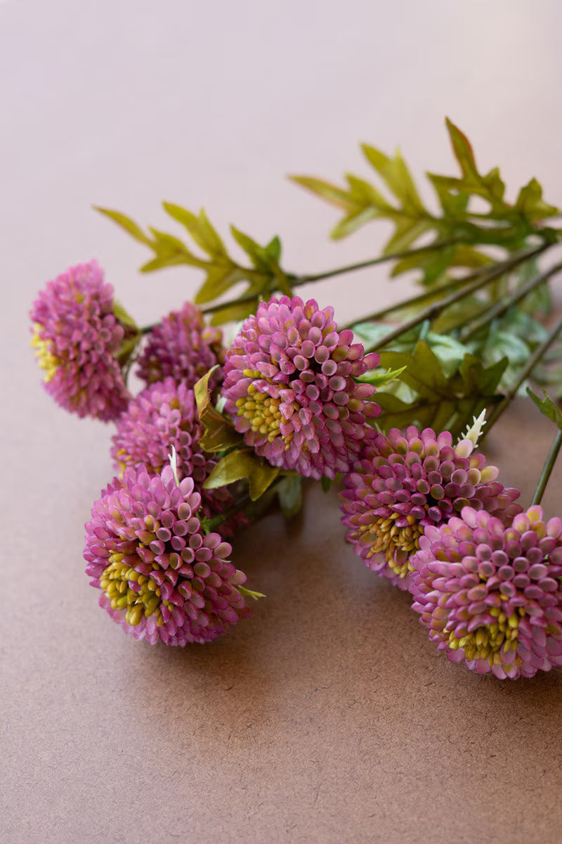 Purple Dalhias