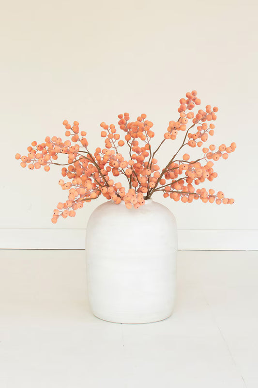 Orange Berry Stem