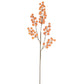 Orange Berry Stem