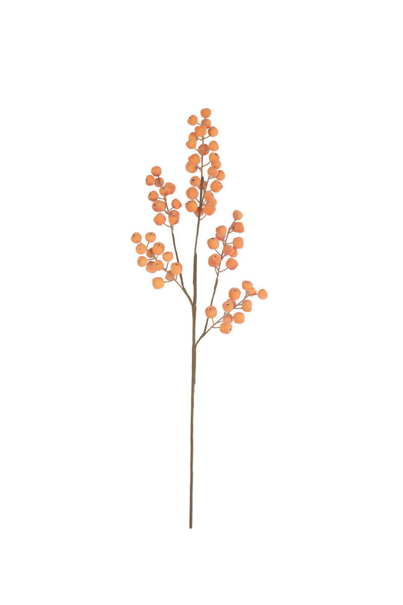 Orange Berry Stem