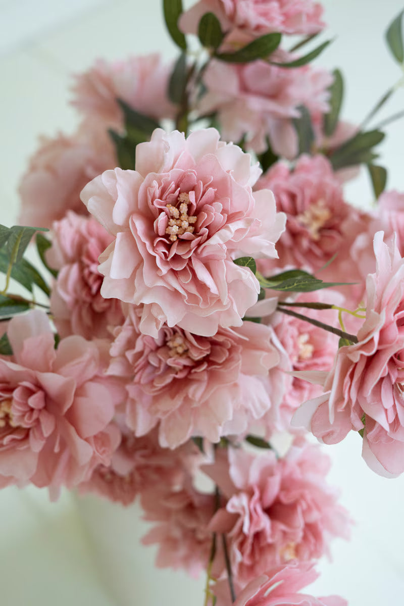 Pink Botanical Stems