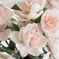 Pink Elegant Stems