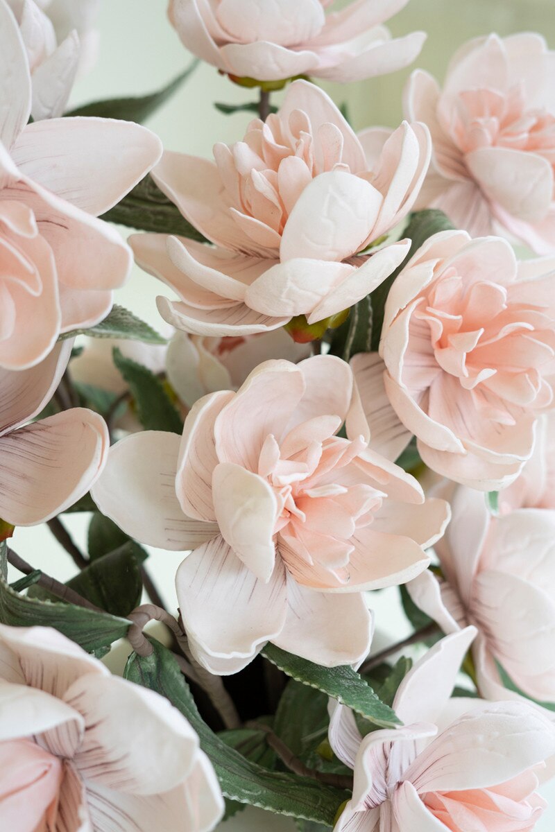 Pink Elegant Stems