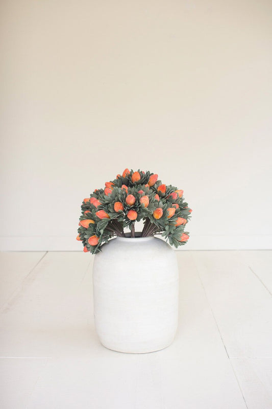 Orange Bud Bundle Botanica