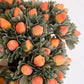 Orange Bud Bundle Botanica