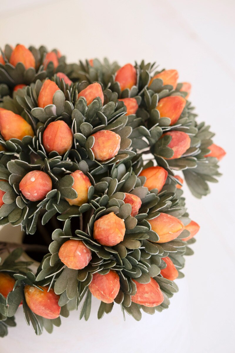 Orange Bud Bundle Botanica
