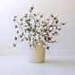 White Bud Botanica