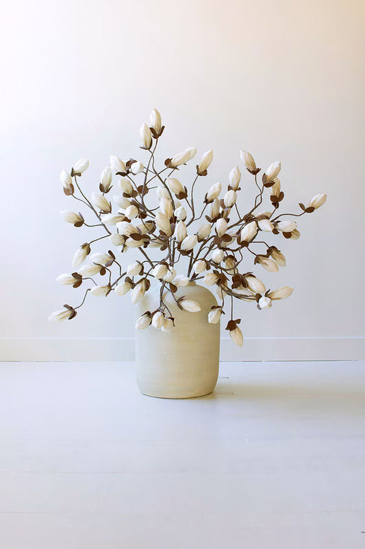 White Bud Botanica