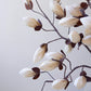 White Bud Botanica