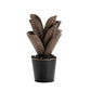 Oasis Metal Cactus