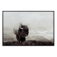 Crestview Bison Life Wall Art
