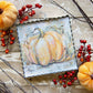 Mini Gallery Orange Bittersweet Pumpkin