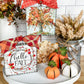 Pumpkin Sitters Mini Set of 3