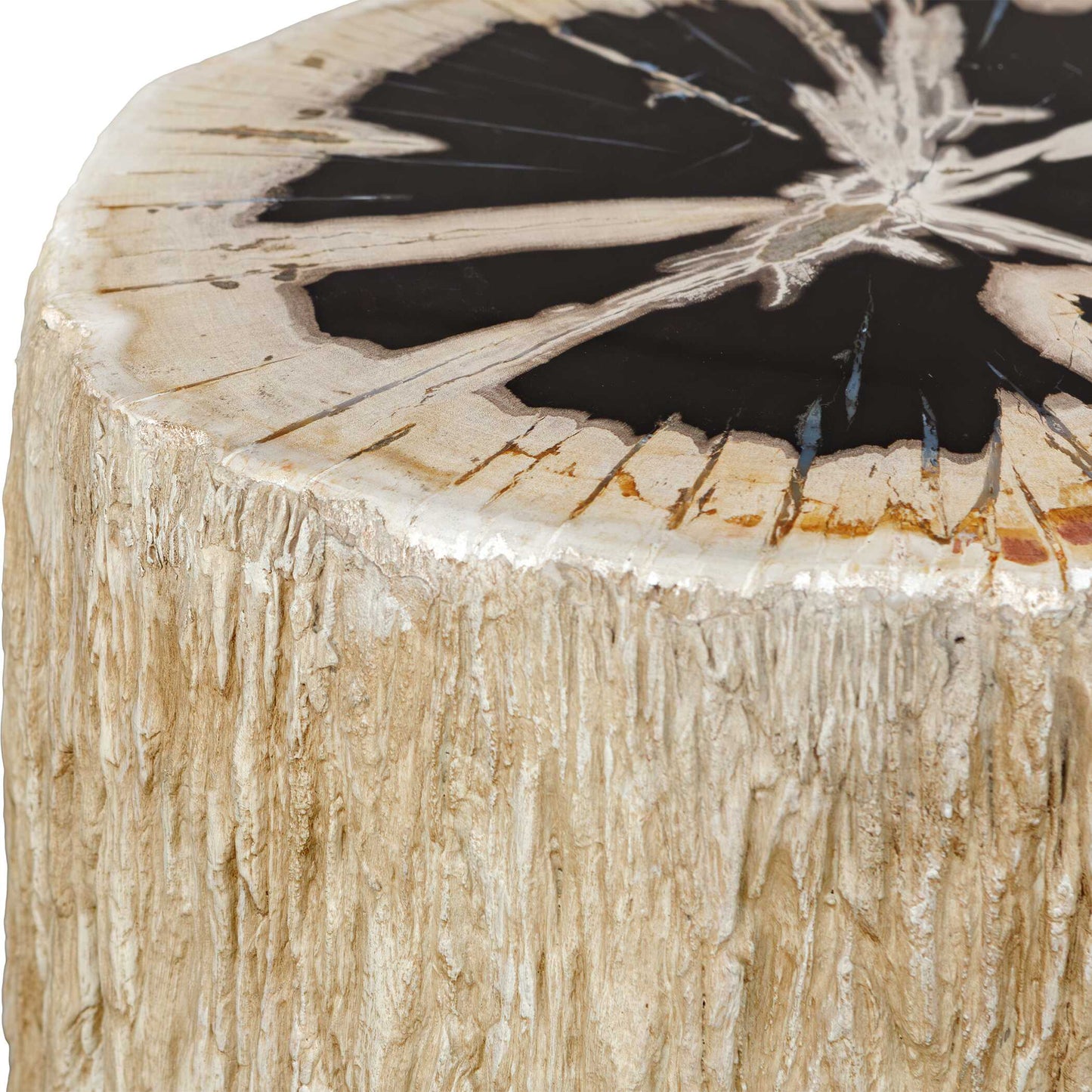 Uttermost Arco Petrified Wood Top Accent Table