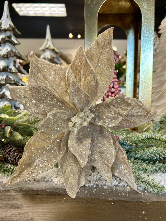 Iced Poinsettia Stem