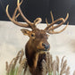 Elk Mount