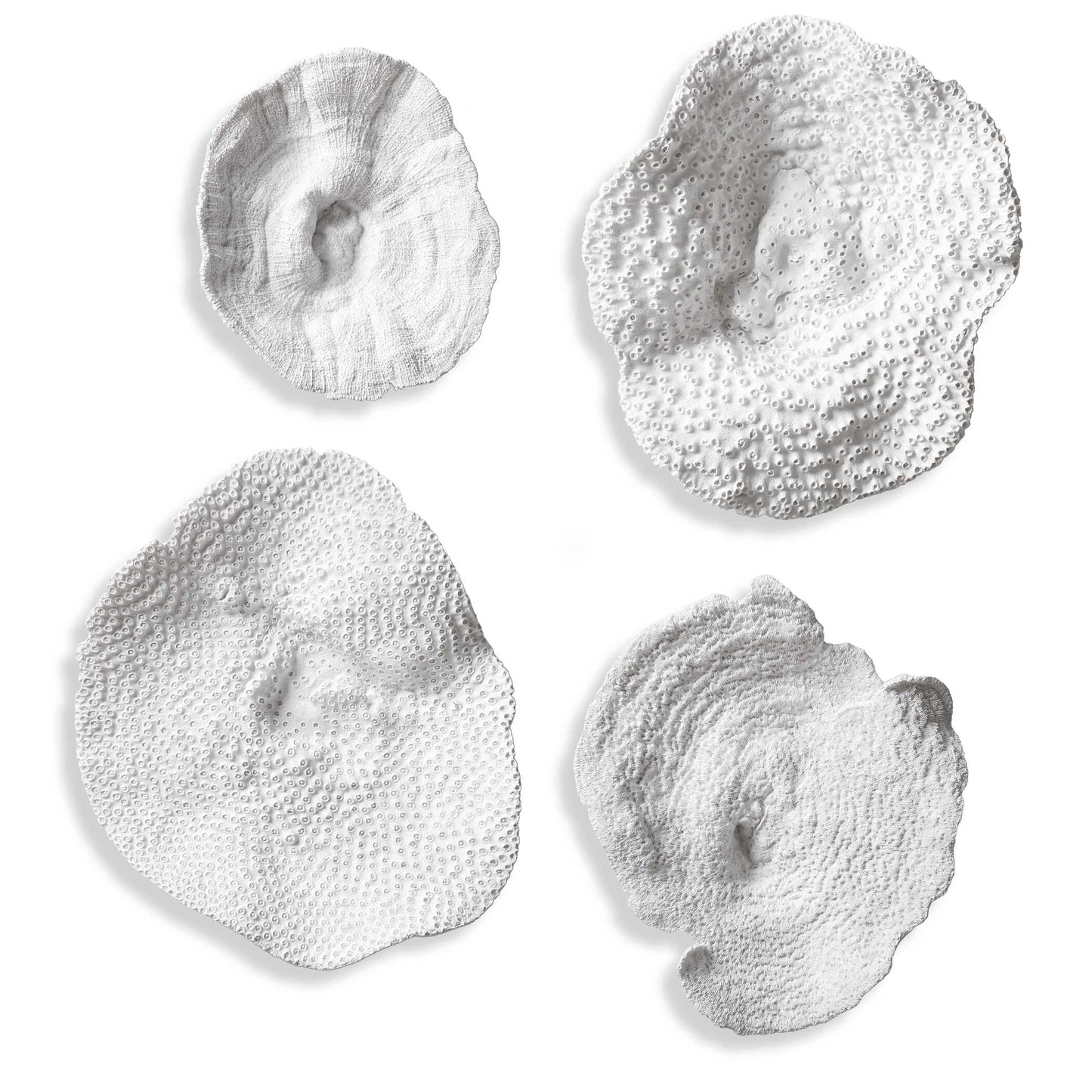 Uttermost Sea Coral Wall Art Set/4