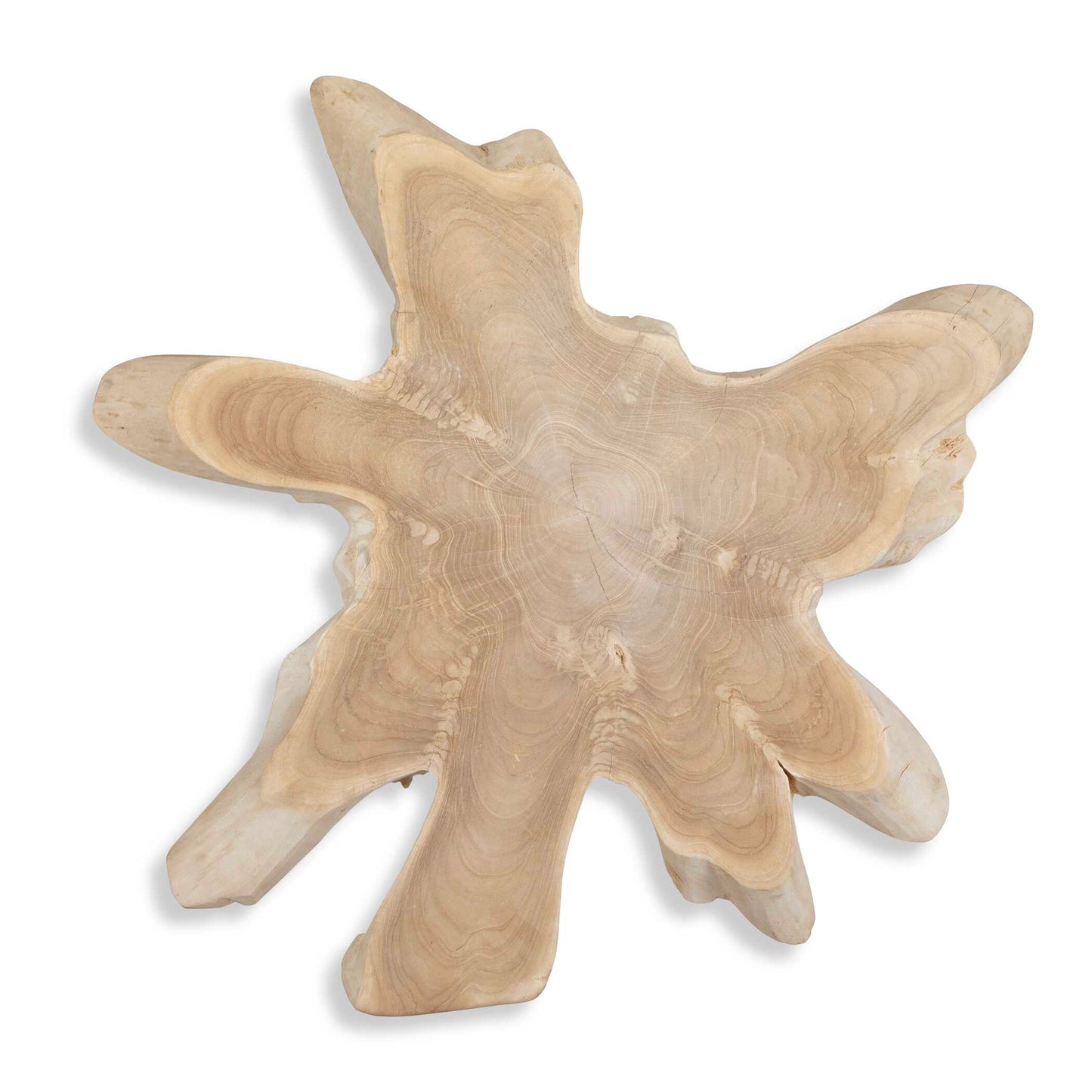 Uttermost Terrains Natural Wood Wall Decor