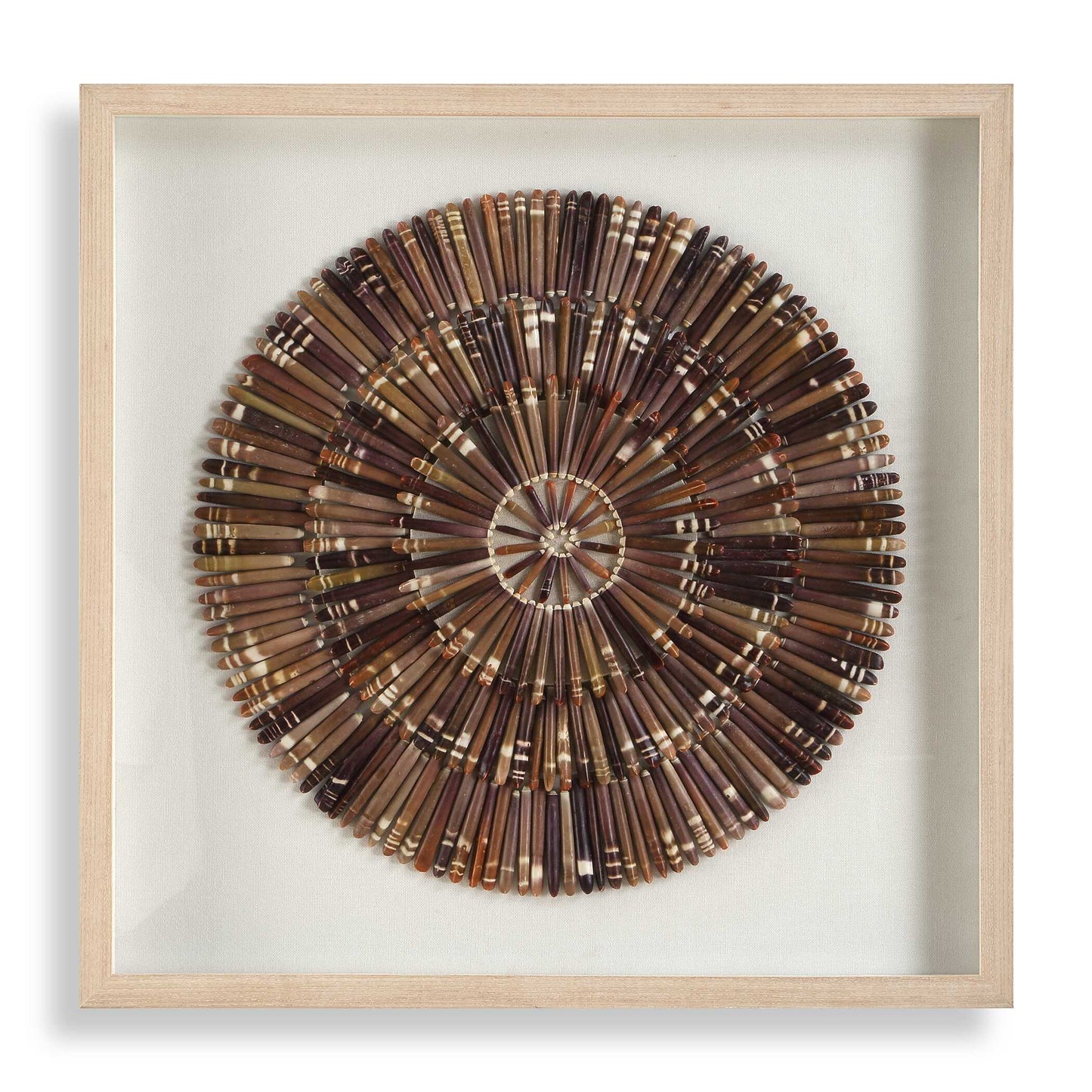 Uttermost Tiger Sea Urchin Shadow Box - Brown