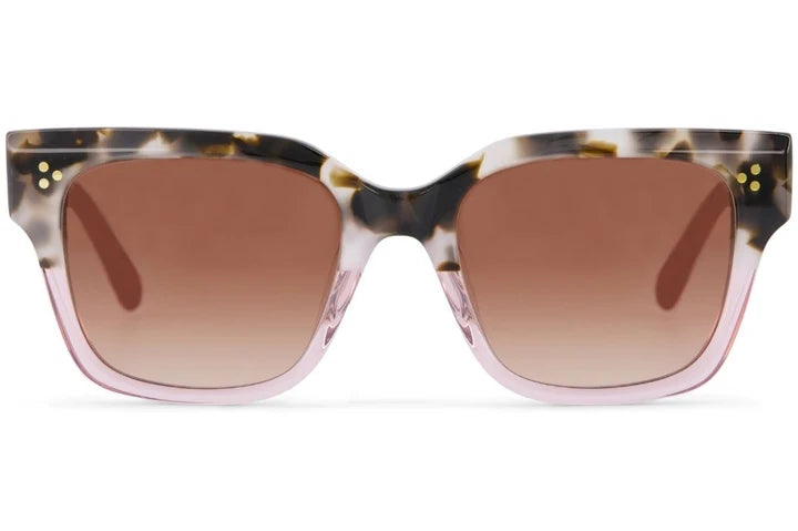 Tom's Sunglasses - The Madison