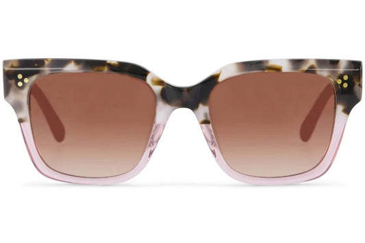 Tom's Sunglasses - The Madison