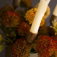 Taper Candelabras with Planters