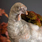 Thanksgiving Turkey Planter
