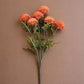 Bundle of Orange Ball Dahlias