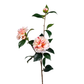 33" Camellia Assorted Colors
