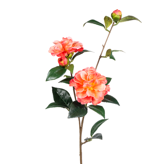 33" Camellia Assorted Colors