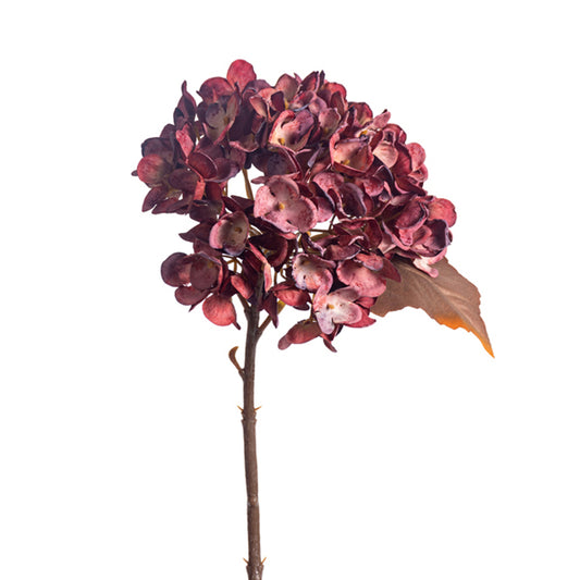 Hydrangea's Burgundy/Taupe