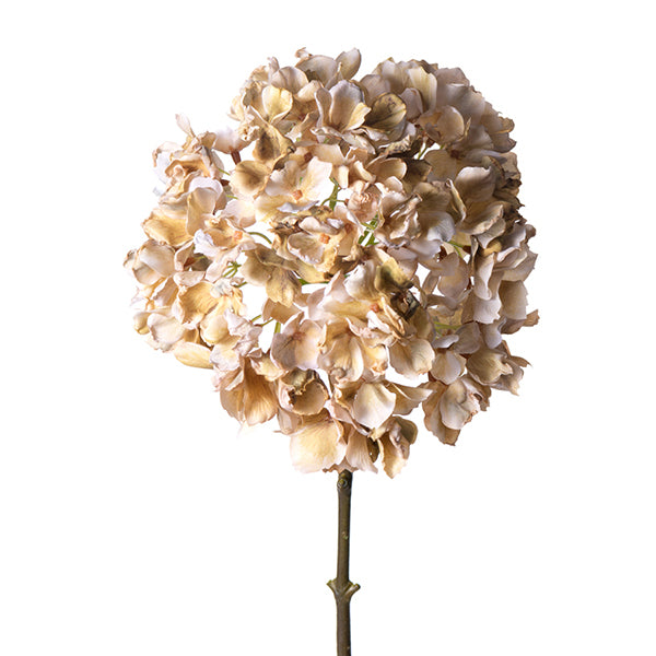 Hydrangea's Burgundy/Taupe