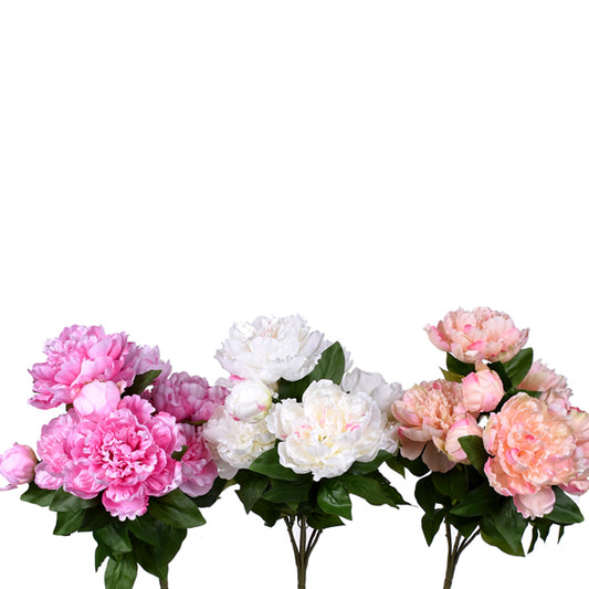 21" Assorted Peony's