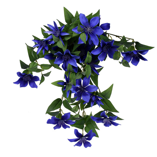 22" Purple Clematis