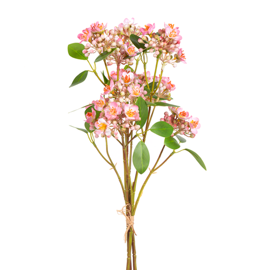 Wild Blossoms