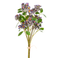 Wild Blossoms