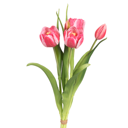 16" Assorted Tulips