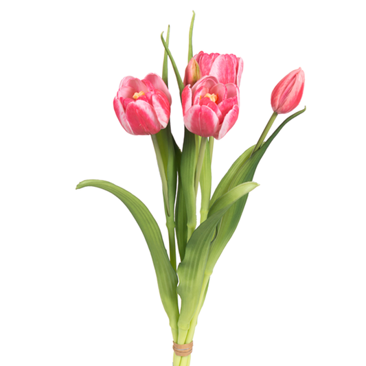 16" Assorted Tulips