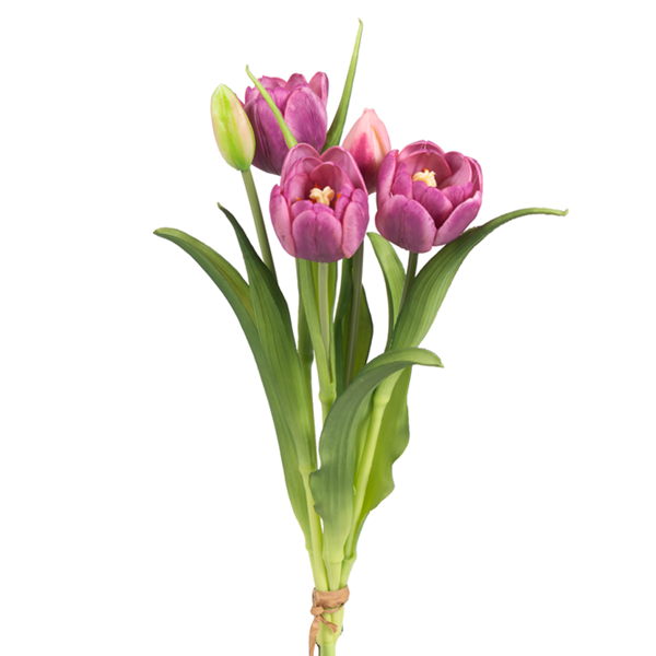 16" Assorted Tulips