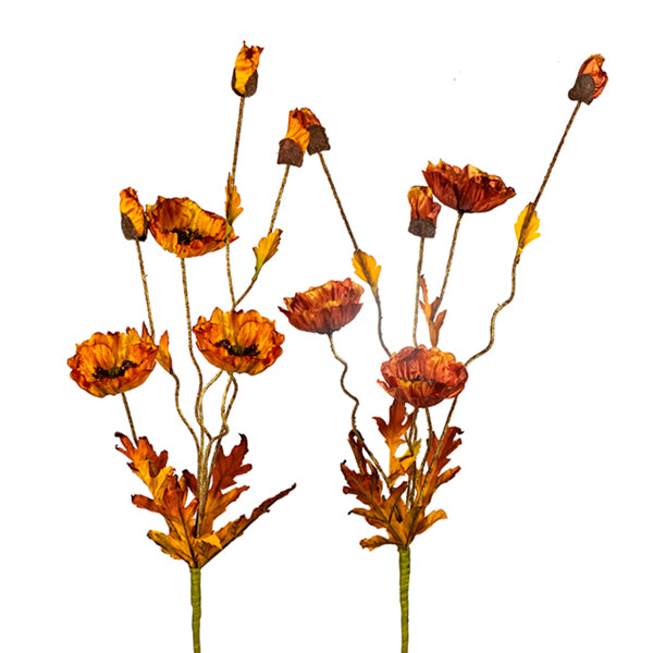 Poppy 27"