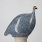 French Guinea Fowl Blue Spotted