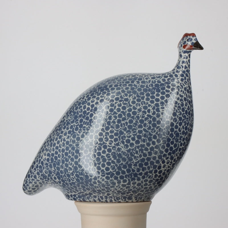 French Guinea Fowl Blue Spotted