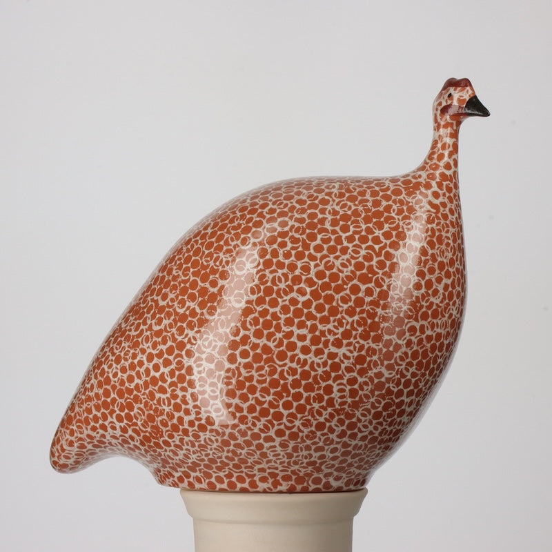 French Guinea Fowl Red