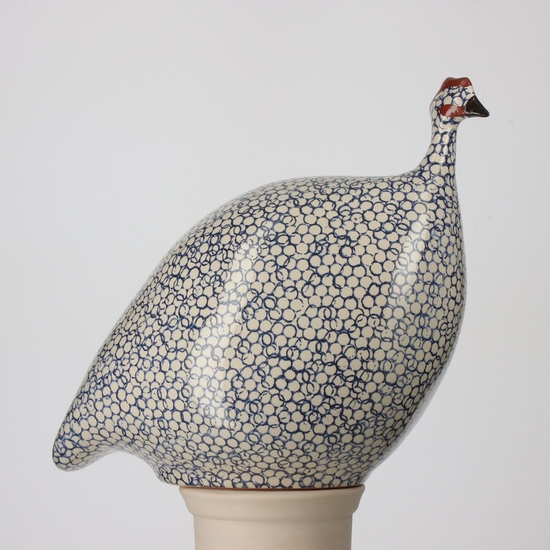 French Guinea Fowl White Cobalt