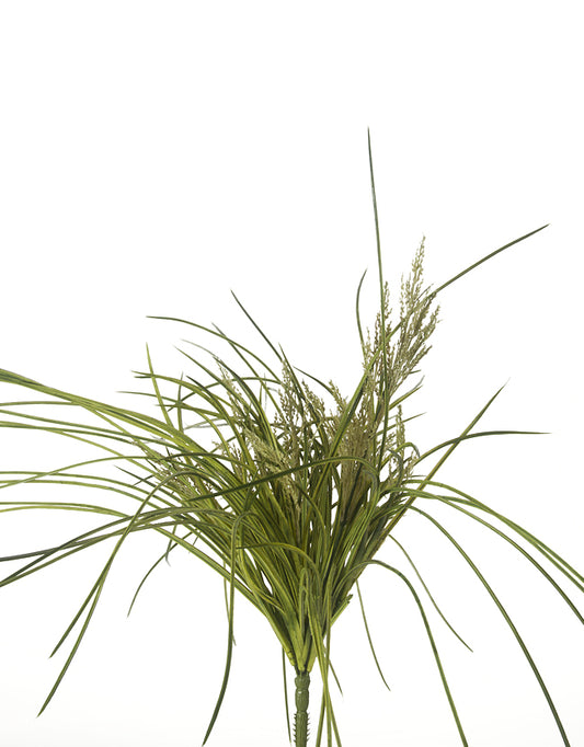 Maiden Hair Fern 13"