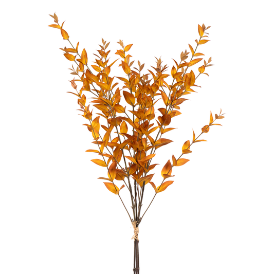 36"Myrtle Gold Bundel