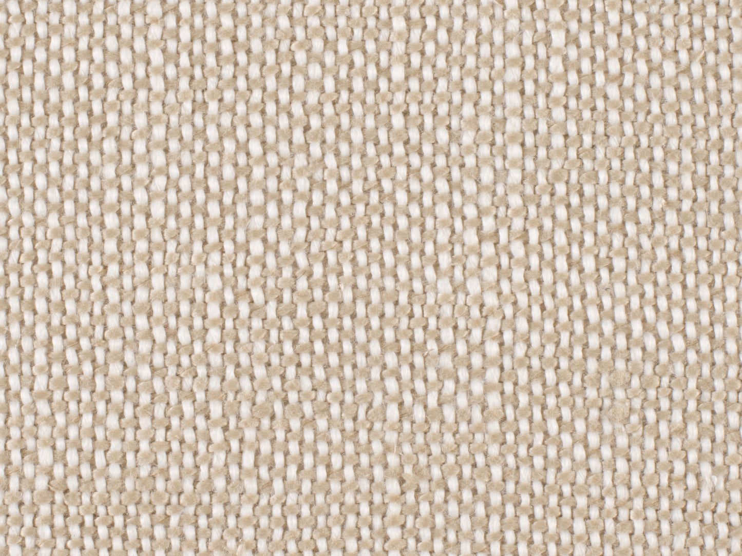 Archivist Upholstered Arm Chair