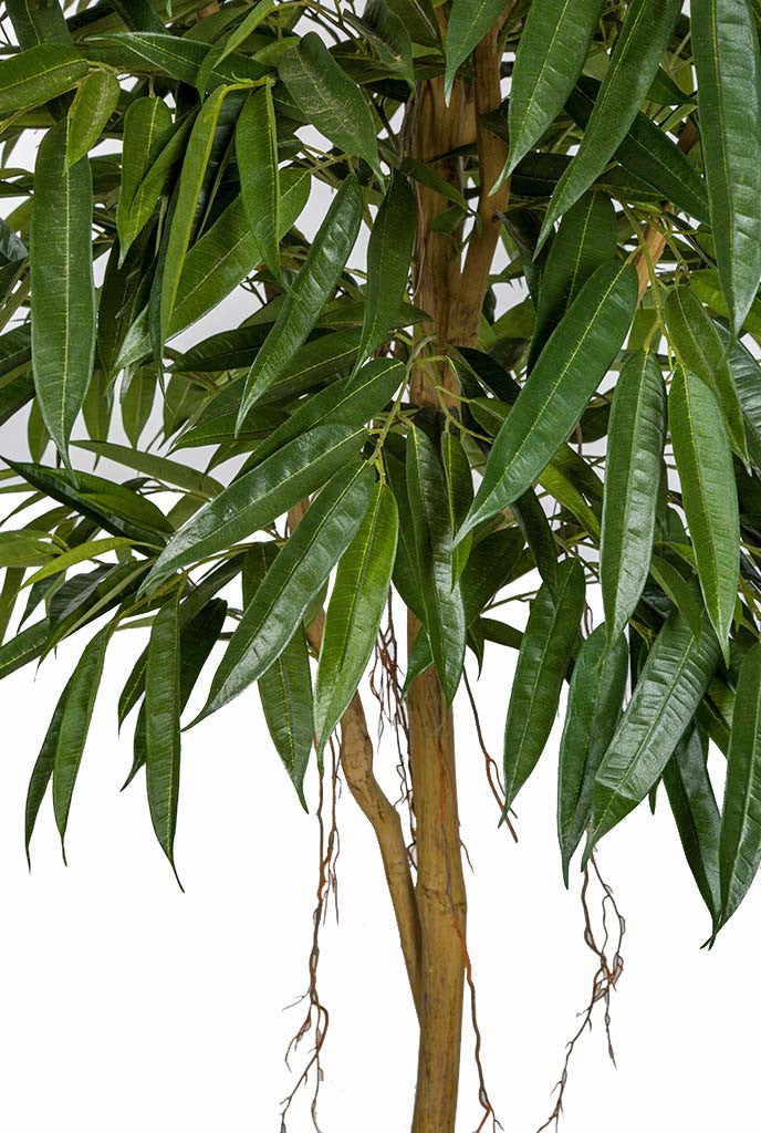 7' Artificial Royal Longifolia Tree
