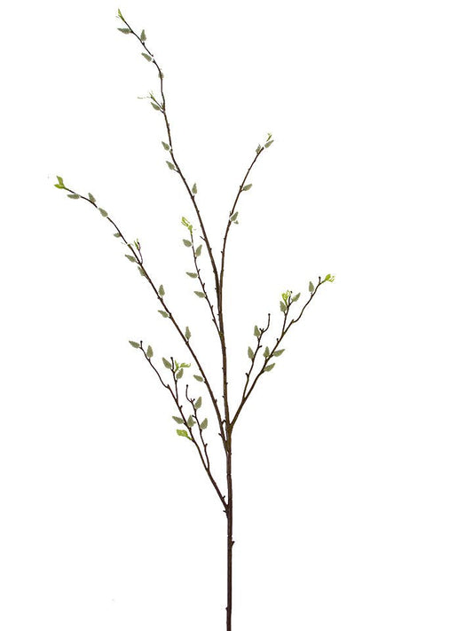 53.5" Pussy Willow Branch
